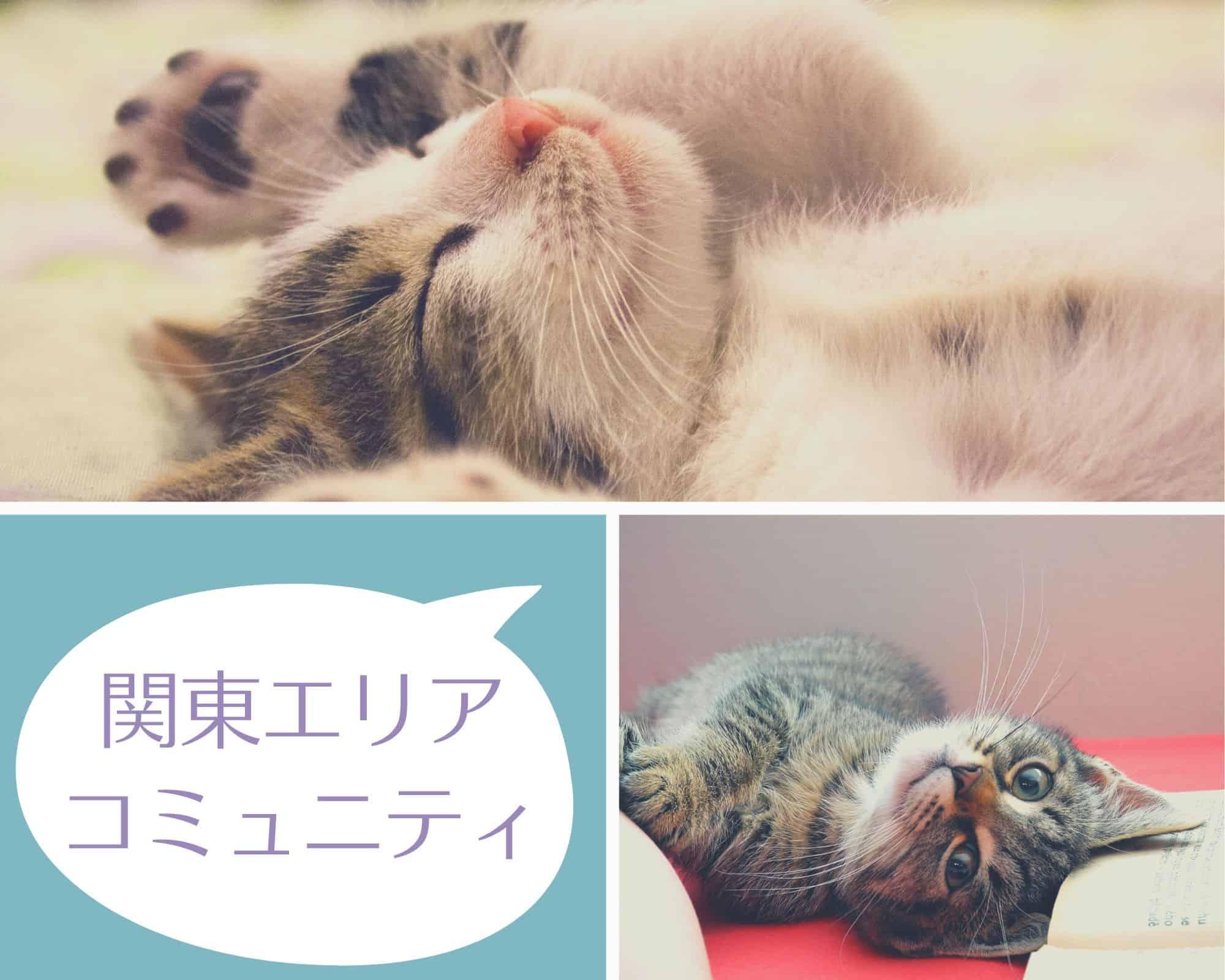 ロゴ画像